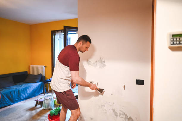 Best Bathroom Mold Remediation in Shenandoah, IA